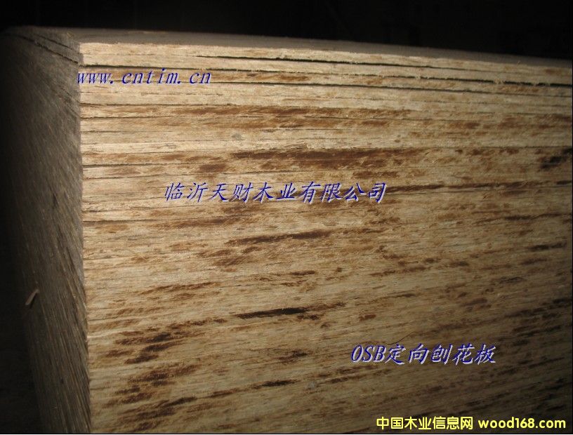 OSB�ٻ����Ԕ��(x��)��B