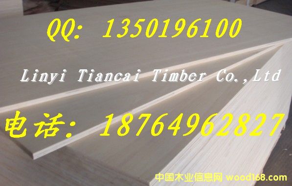 �P���T�����z�ϰ�