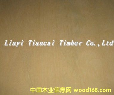 ��(y��u)�|��ľ����18764962827