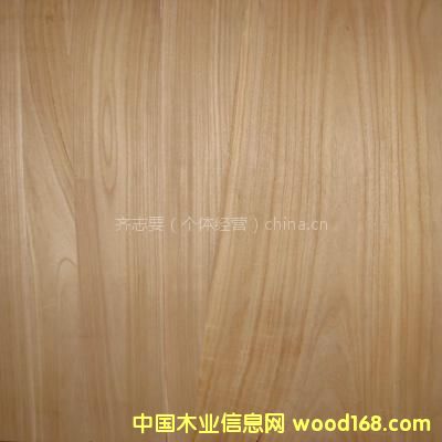 ͩľƴ���Ԕ��(x��)��B