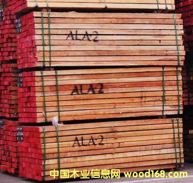 ����ľ��Ԕ����B