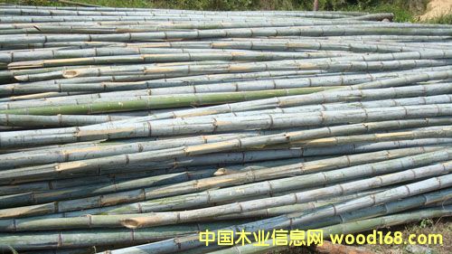 ԭ���Ԕ��(x��)��B