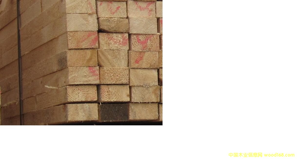 �Fɼ����ɼ��Ԕ��(x��)��B