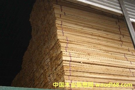 ������ԭľ  ���      ��Ԕ��(x��)��B