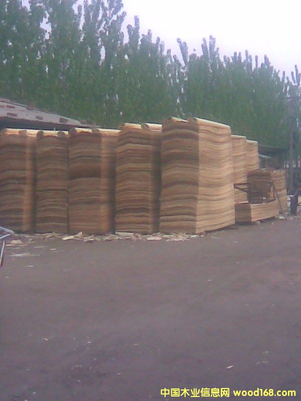 �ΰ��Ԕ��(x��)��B