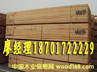 �Fɼ��Ԕ����B