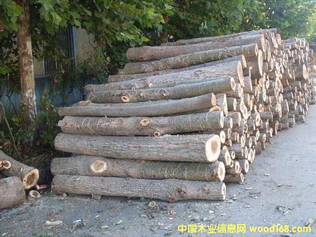 ��ľ��Ԕ����B