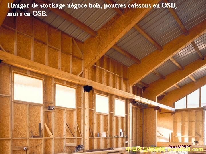 OSB��Ԕ��(x��)��B