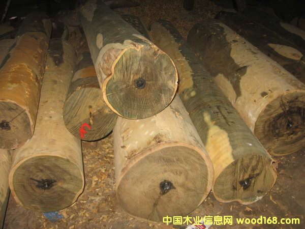 �G̴ԭľ��Ԕ����B