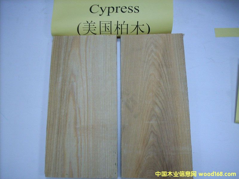 ������ľ(Ҳ�Qˮ��)(Cypress)