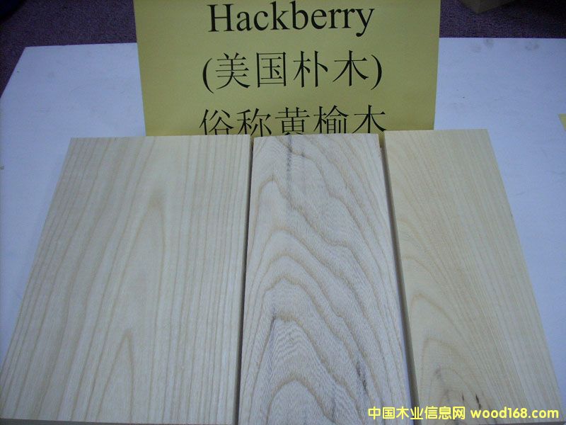 FSC��ľ(�׷Q�S������ȸľ)��Hackberry�� 