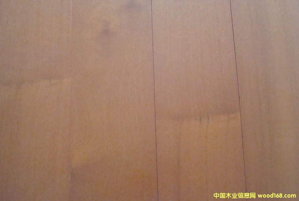 �����ľ�L(zh��ng)���ذ�