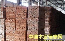 �W�ޙ�ľ����ľ��ĵ�Ԕ����B