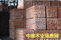 �W�ޙ�ľ����ľ����Ԕ����B