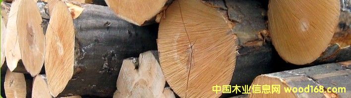 �W�ޙ�ľ����ľԭľ��Ԕ����B