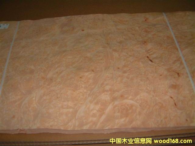 ��ľ��������ľ�����ľƤ