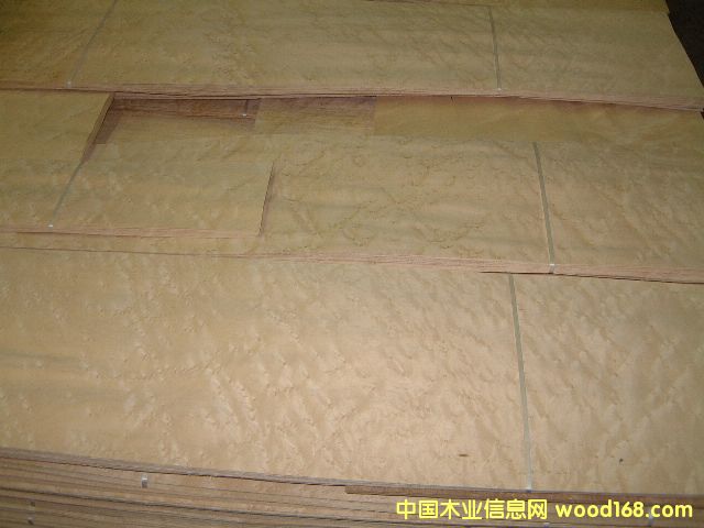 ȸ������ľȸ����ȸ�ۗ�ľ