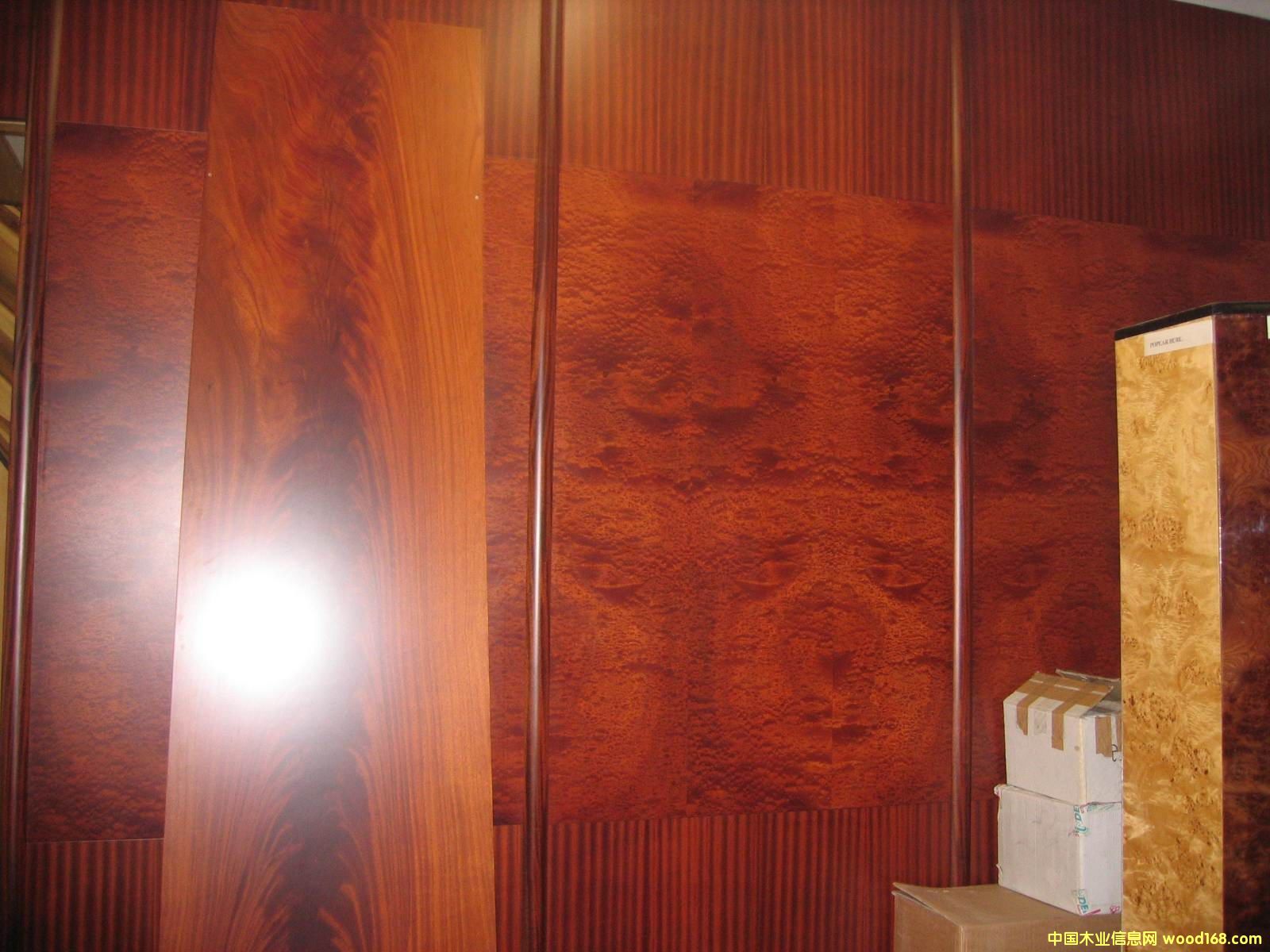 ��yɳ������ɳ������y