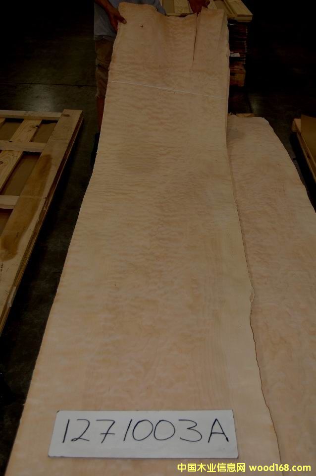 ��y��ľ����ľ��y