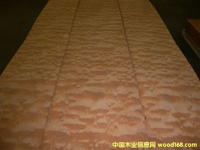 ��y����������������y