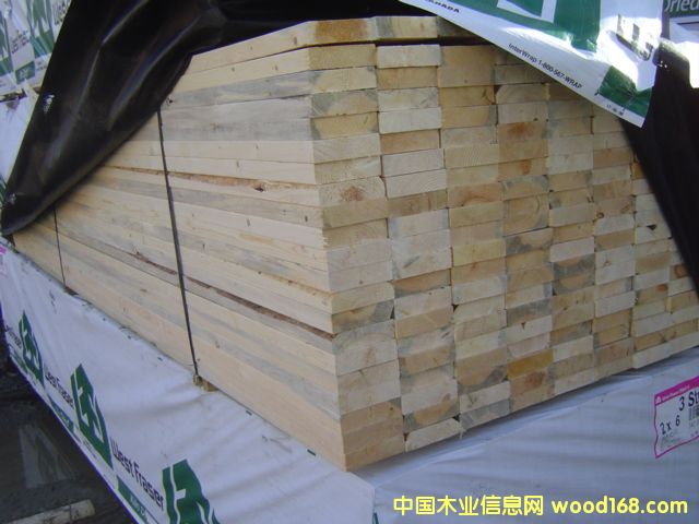 ����SPF 2-3����Ԕ����B