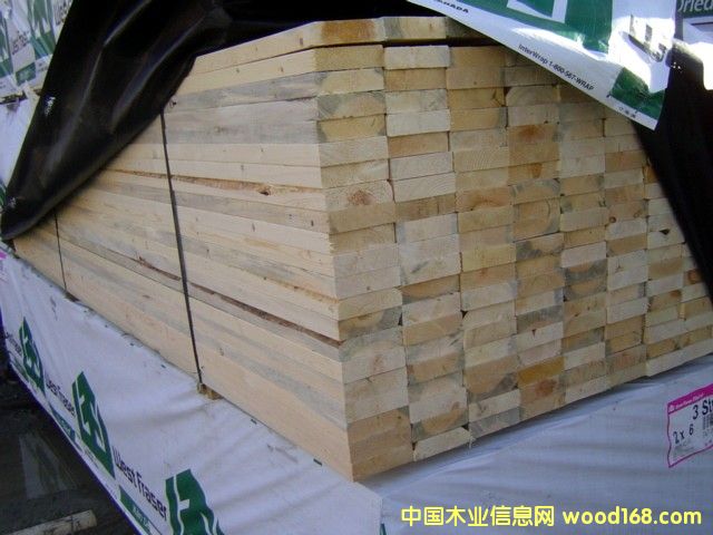 �����ɰ��2-3�� ��Ԕ����B