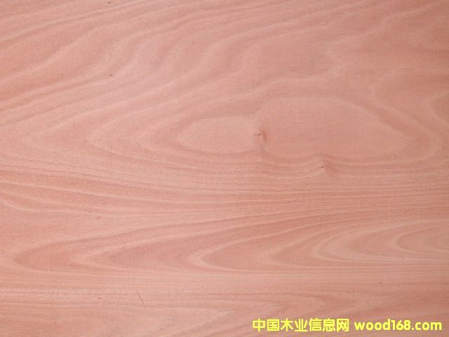 �һ�о�ΰ��Ԕ��(x��)��B