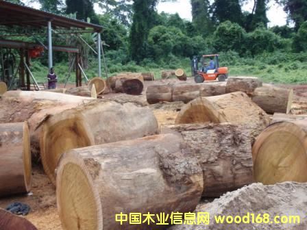 �A�P(p��n)�������ӹ��е�Ԕ��(x��)��B