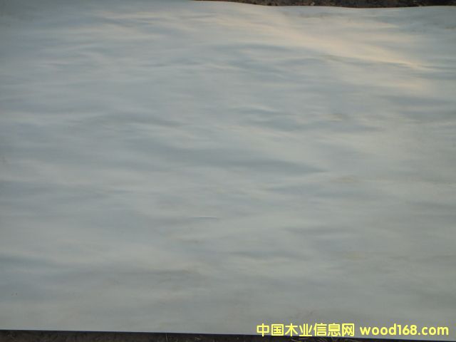 ��ľ����Ԕ����B