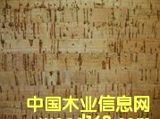 �M(j��n)��ܛľ�ذ��Ԕ��(x��)��B