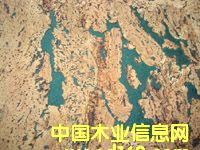 ����ܛľ�����Ԕ��(x��)��B