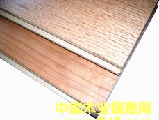 ľ����Ԕ��(x��)��B