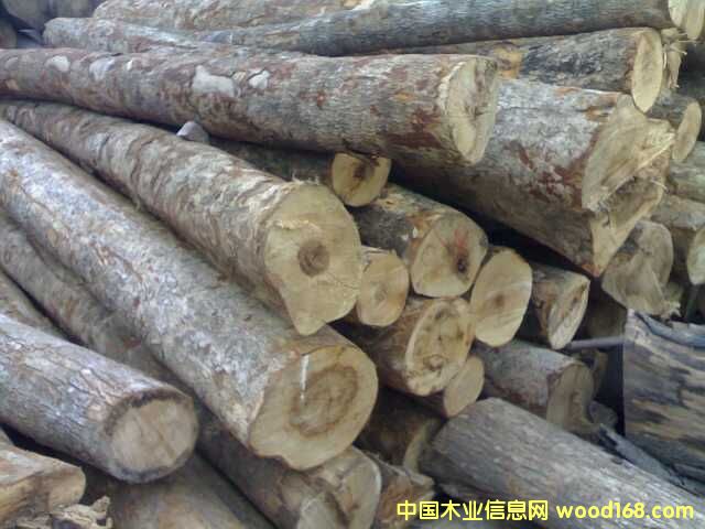 ɽ����ľ��Ԕ��(x��)��B