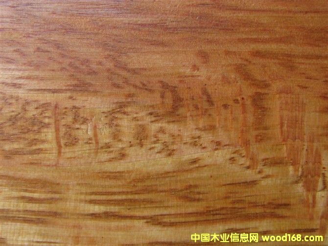 �c���鿴Խ���S��ľ�Ŵ�DƬ