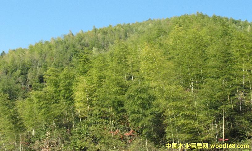 ���ӵ�Ԕ����B