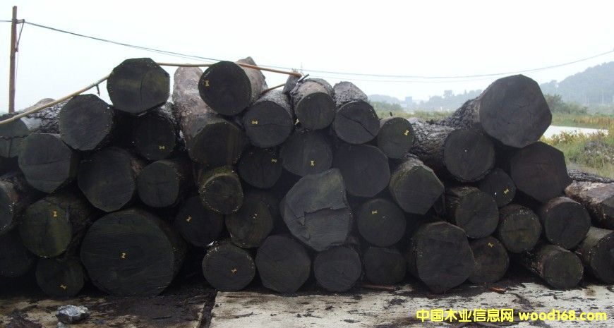 �ں���ԭľ3��Ԕ��(x��)��B