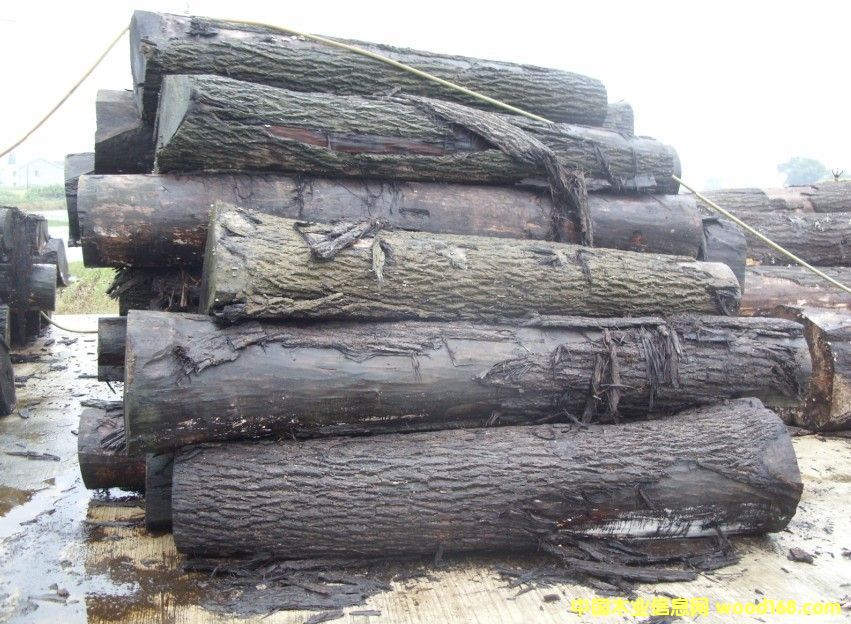 �ں���ԭľ2��Ԕ��(x��)��B