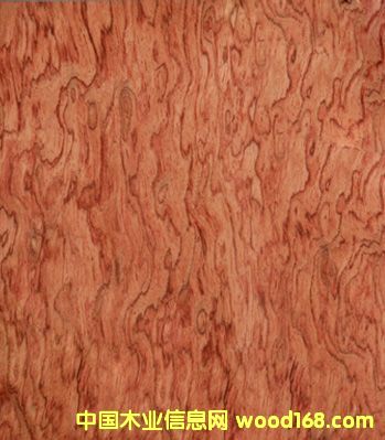 ľƤ2��Ԕ��(x��)��B