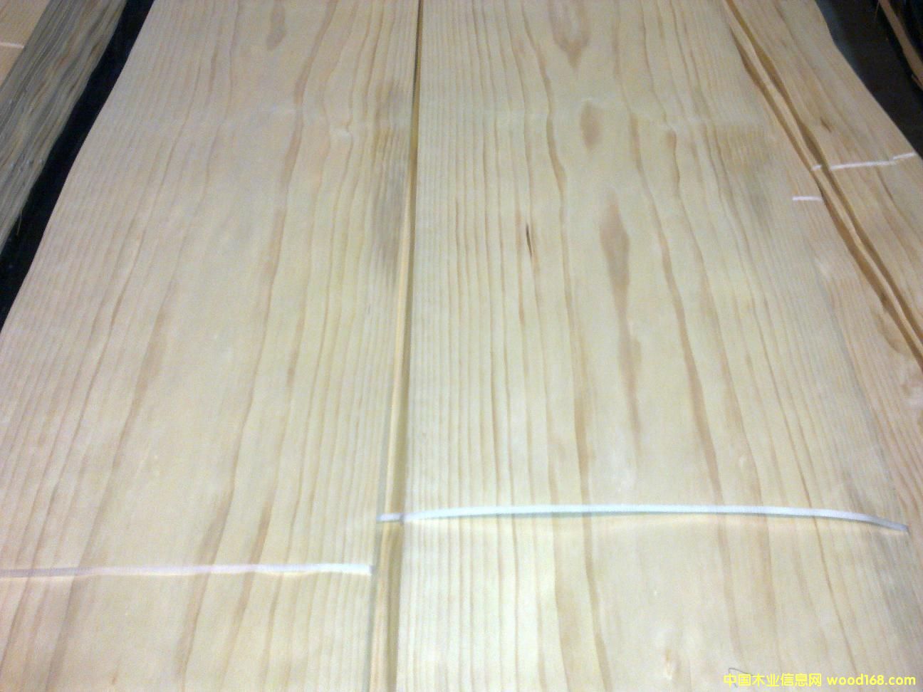 �����m��ľƤ��Ԕ����B