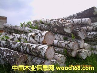 ���_˹��ľ��Ԕ��(x��)��B