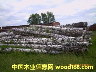 ��ľ��ĵ�Ԕ��(x��)��B