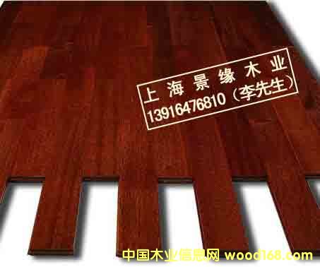 ���޲��}���Ԕ��(x��)��B