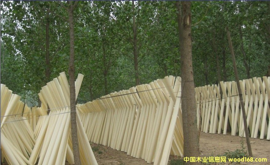 �ΰ�3��Ԕ��(x��)��B