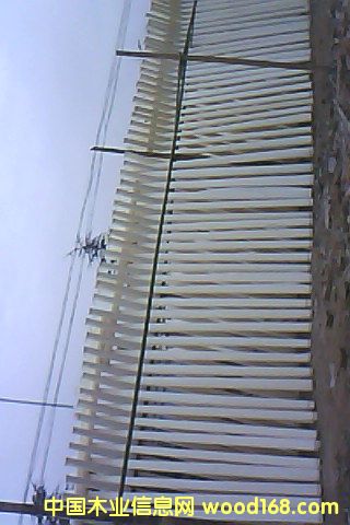 Ư�ח�ľ��Ƥ��Ԕ��(x��)��B