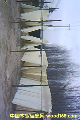 Ư�ח�ľ��Ƥ��Ԕ��(x��)��B