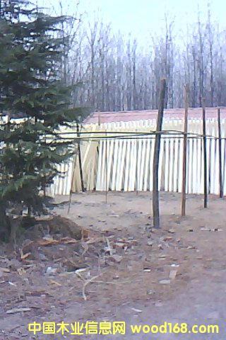 Ư�ח�ľ��Ƥ��Ԕ��(x��)��B