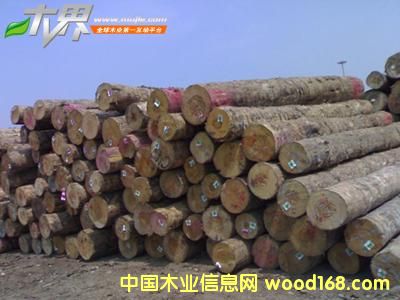 ݗ���ɵ�Ԕ����B