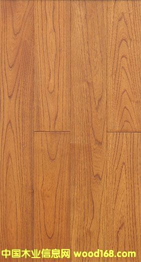 ��ľ--����ʥĸԺ��Ԕ��(x��)��B