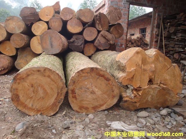 �c(di��n)���鿴��z�ľԭľ�Ŵ�DƬ