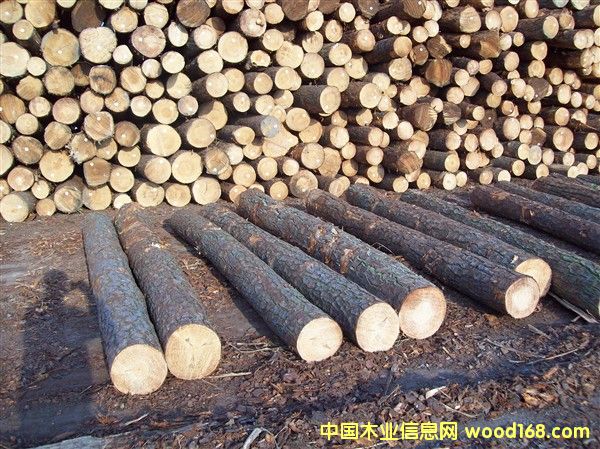 �����S�ɵ�Ԕ��(x��)��B